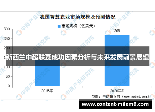 新西兰中超联赛成功因素分析与未来发展前景展望