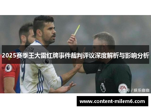 2025赛季王大雷红牌事件裁判评议深度解析与影响分析