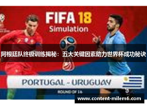 阿根廷队终极训练揭秘：五大关键因素助力世界杯成功秘诀
