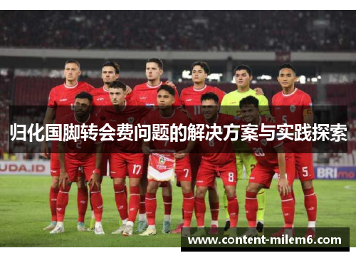 归化国脚转会费问题的解决方案与实践探索
