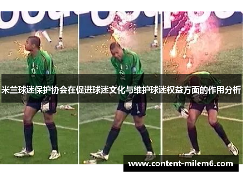 米兰球迷保护协会在促进球迷文化与维护球迷权益方面的作用分析