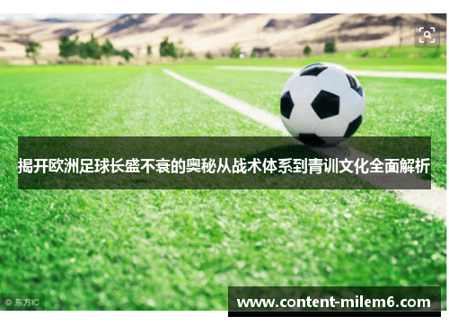 揭开欧洲足球长盛不衰的奥秘从战术体系到青训文化全面解析