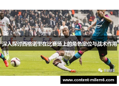 深入探讨西格诺里在比赛场上的角色定位与战术作用