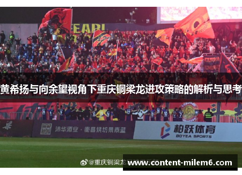 黄希扬与向余望视角下重庆铜梁龙进攻策略的解析与思考