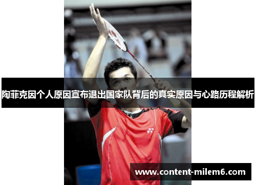 陶菲克因个人原因宣布退出国家队背后的真实原因与心路历程解析