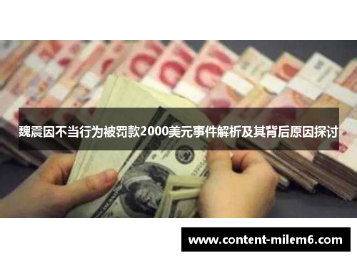 魏震因不当行为被罚款2000美元事件解析及其背后原因探讨